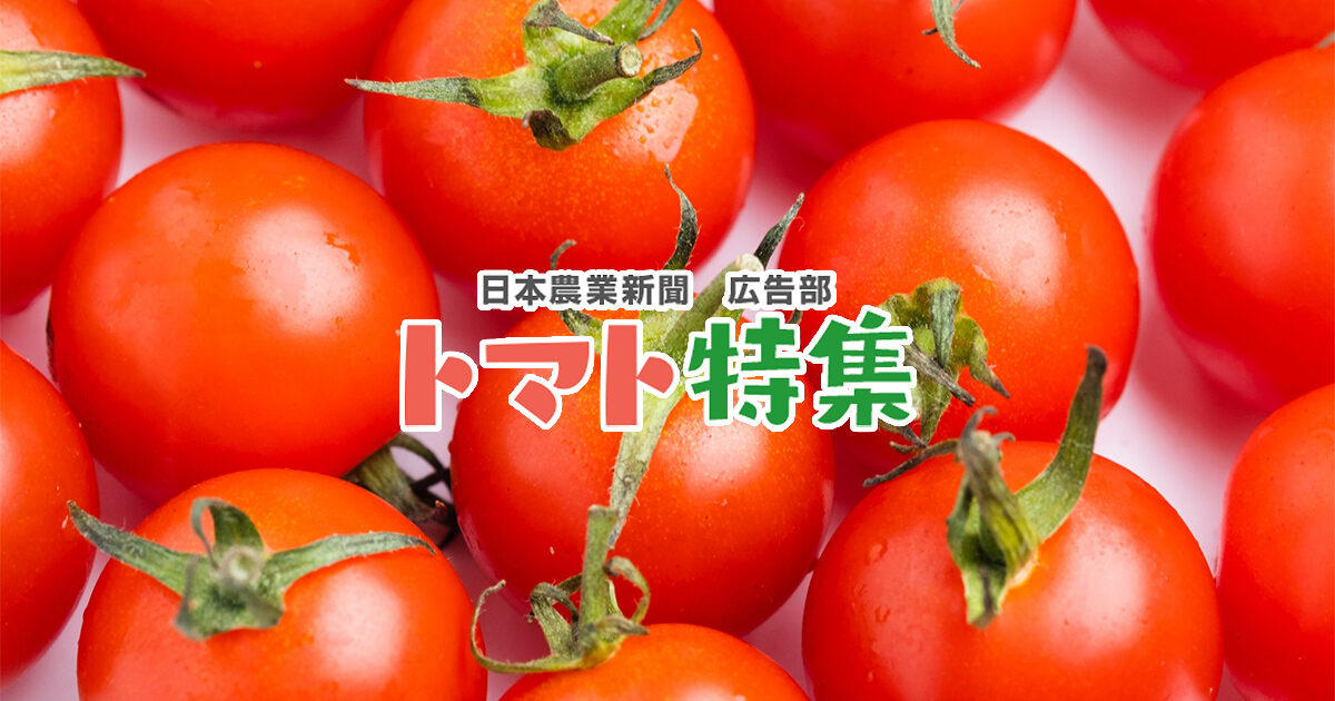 トマト大事典 トマト大事典 Amazon.co.jp: トマト大事典 : 農文協編: Japanese
