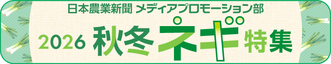 秋冬ネギ特集202601